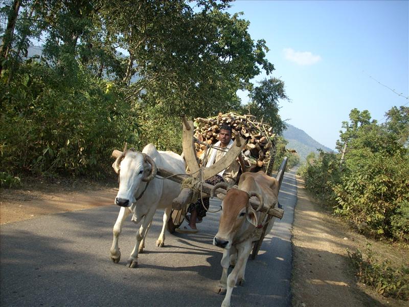 village transport